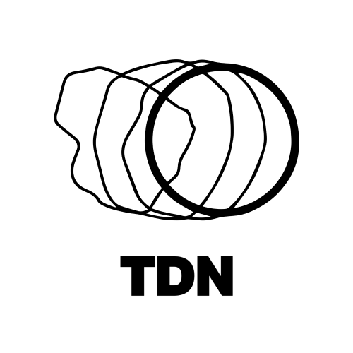 TDN - The DARE night logo